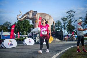 BIB: 
                            <button type="button" onclick="openModal(26541910)" class="btn btn-primary btn-sm float-right btn-popup" data-toggle="modal" data-target=".modal-high-quality">
                        <i class="fas fa-shopping-cart"></i> Add to Cart
                    </button>
                                            <button type="button" onclick="isThisMe(26541910, true)" class="btn btn-success btn-sm float-right btn-popup btn-isme hidden" data-toggle="tooltip" data-placement="bottom" title="นี่คือรูปของคุณใช่ไหม คลิกที่นี่เพื่อเอาเข้าอัลบั้ม">
                        <i class="fas fa-plus"></i> Add to album
                    </button>
                    <button type="button" onclick="isThisMe(26541910, false)" class="btn btn-warning btn-sm float-right btn-popup btn-isnotme hidden">
                        <i class="fas fa-ban"></i> Remove from album
                    </button>